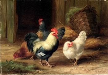 unknow artist Cocks 078 oil painting picture